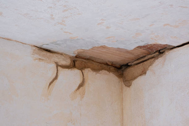 Best Water damage contractors near me  in Kalida, OH