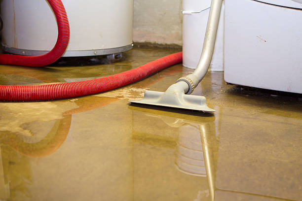 Best Water damage restoration near me  in Kalida, OH