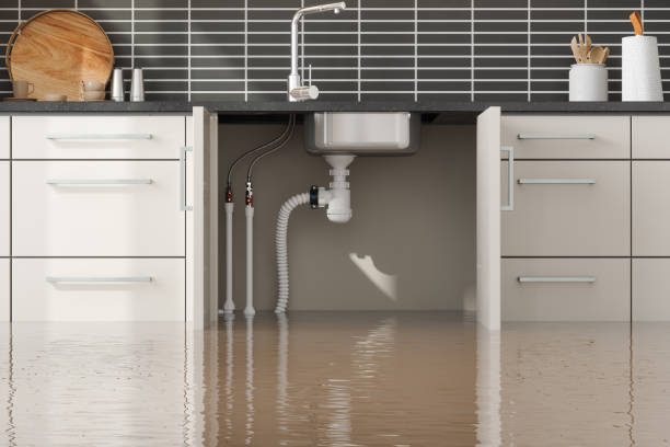 Best Professional water damage repair  in Kalida, OH