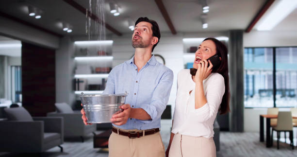 Best Water damage repair service  in Kalida, OH